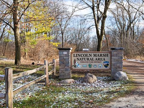 25 W726 Harrison Ave, Wheaton, IL 60187 photo 17