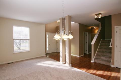 244 Alpine Ct, Gilberts, IL 60136 photo 4