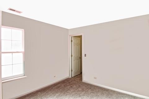 244 Alpine Ct, Gilberts, IL 60136 photo 23