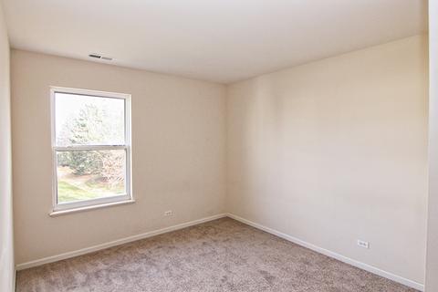 244 Alpine Ct, Gilberts, IL 60136 photo 21