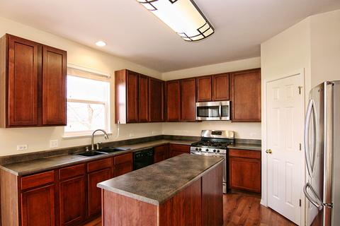 244 Alpine Ct, Gilberts, IL 60136 photo 7