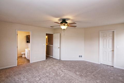 244 Alpine Ct, Gilberts, IL 60136 photo 18