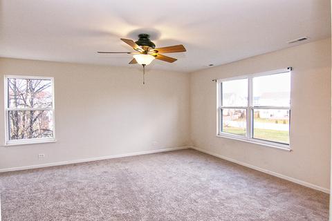 244 Alpine Ct, Gilberts, IL 60136 photo 16