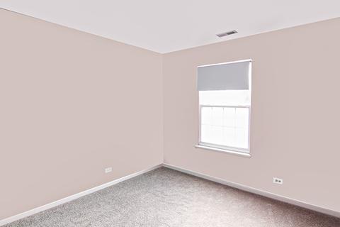 244 Alpine Ct, Gilberts, IL 60136 photo 22