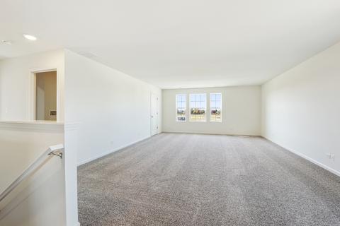 25434 W Ryan Ln, Plainfield, IL 60586 photo 18