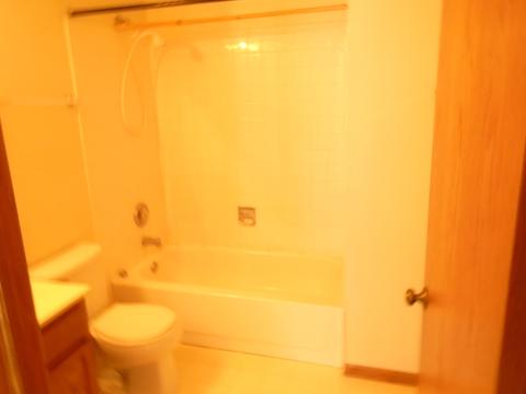 14065 Denton Ct, Plainfield, IL 60544 photo 15