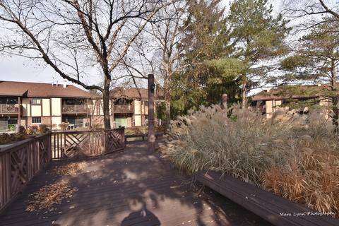 1655 Dover Ct #B, Wheaton, IL 60189 photo 29
