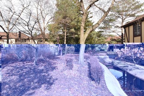 1655 Dover Ct #B, Wheaton, IL 60189 photo 28