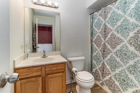 4731 W Iris Ln, Monee, IL 60449 photo 17