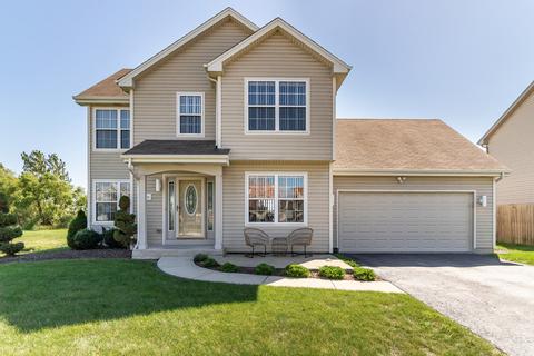 4731 W Iris Ln, Monee, IL 60449 photo 1