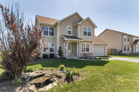 4731 W Iris Ln, Monee, IL 60449 photo 4