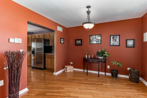 4731 W Iris Ln, Monee, IL 60449 photo 13