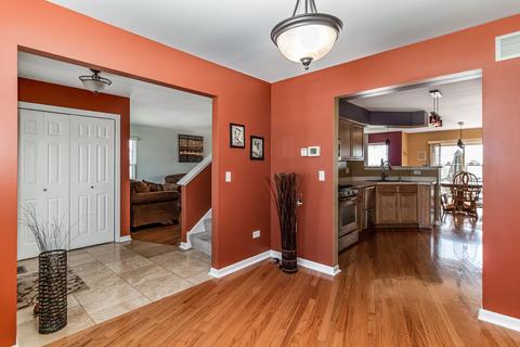 4731 W Iris Ln, Monee, IL 60449 photo 14