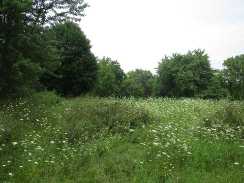 000 E Diggins St, Harvard, IL 60033
