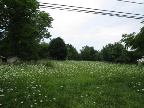 000 E Diggins St, Harvard, IL 60033 photo 3