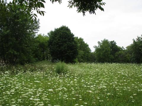 000 E Diggins St, Harvard, IL 60033 photo 2