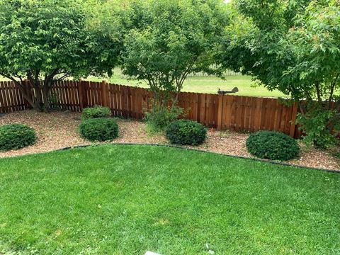 1108 Needham Rd, Naperville, IL 60563 photo 25