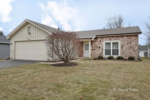 1745 Thorneapple Ln, Algonquin, IL 60102 photo 1