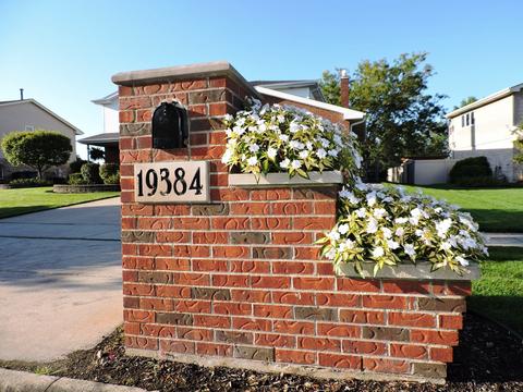 19384 Walnut St, Mokena, IL 60448 photo 34