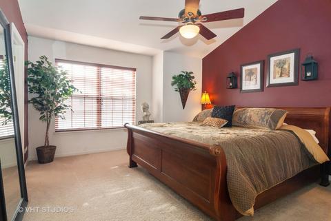579 Declaration Ln, Aurora, IL 60502 photo 10