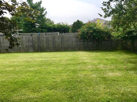 6237 157th Pl, Oak Forest, IL 60452 photo 20