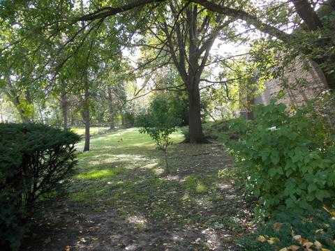 5429 St Charles Rd, Berkeley, IL 60163 photo 22