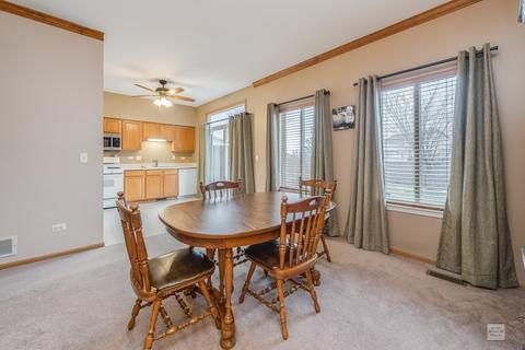 2803 River Bend Ln, Plainfield, IL 60586 photo 8
