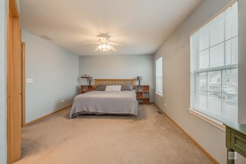 2803 River Bend Ln, Plainfield, IL 60586 photo 16