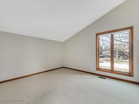 115 White Oak Dr, Wheaton, IL 60187 photo 18