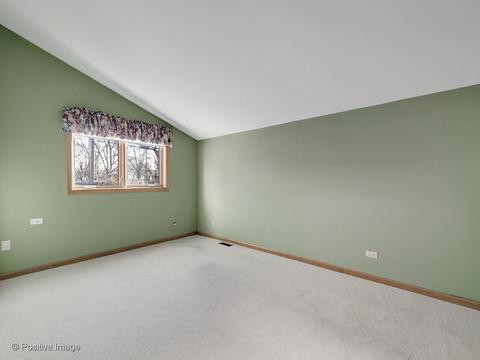 115 White Oak Dr, Wheaton, IL 60187 photo 19