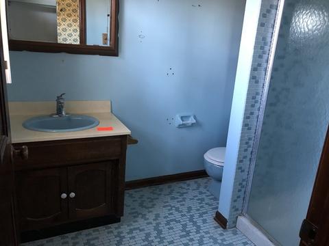 118 S Maple Ave, Hillside, IL 60162 photo 25