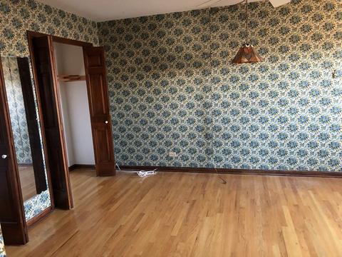 118 S Maple Ave, Hillside, IL 60162 photo 24