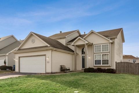 25740 S Daffodil Ln, Monee, IL 60449 photo 1