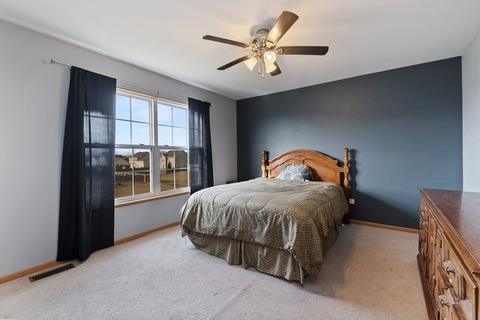 25740 S Daffodil Ln, Monee, IL 60449 photo 7