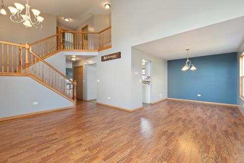 25740 S Daffodil Ln, Monee, IL 60449 photo 3