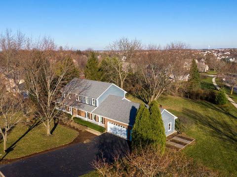 441 Fairway View Dr, Algonquin, IL 60102 photo 4