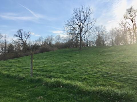3495 E 2056th Rd, Wedron, IL 60557 photo 12