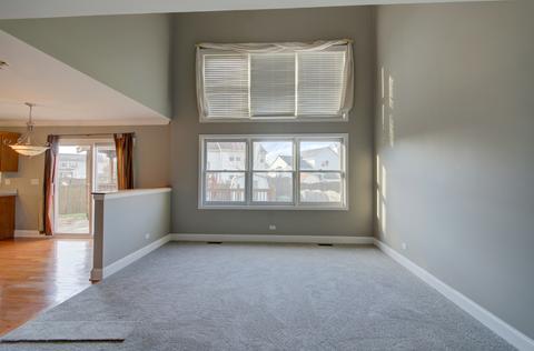 2009 Olde Mill Rd, Plainfield, IL 60586 photo 11