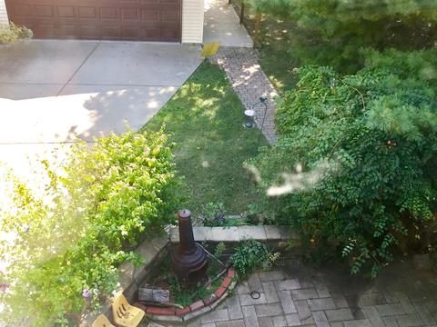8517 Rockefeller Ave, Brookfield, IL 60513 photo 26