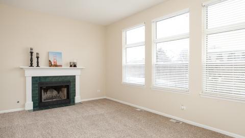 7408 Atkinson Cir, Plainfield, IL 60544 photo 4