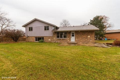 502 Chestnut Ln, Beecher, IL 60401 photo 25