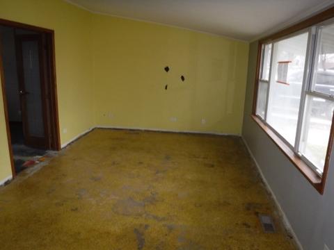 149 Durham Dr, Steger, IL 60475 photo 3