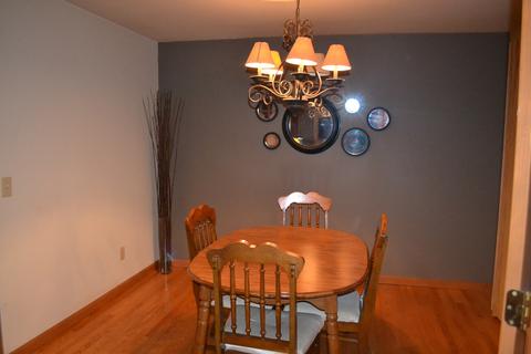 190 S Cook St, Braidwood, IL 60408 photo 4