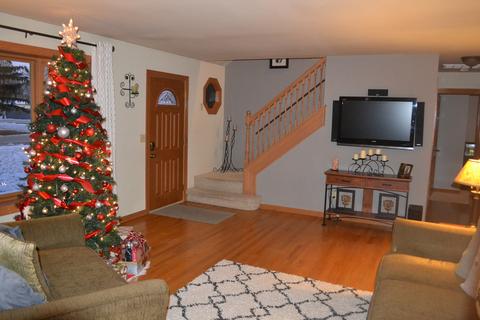 190 S Cook St, Braidwood, IL 60408 photo 3