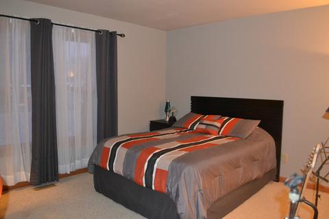 190 S Cook St, Braidwood, IL 60408 photo 12