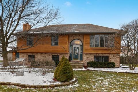16318 S Peerless Ct, Plainfield, IL 60586 photo 1