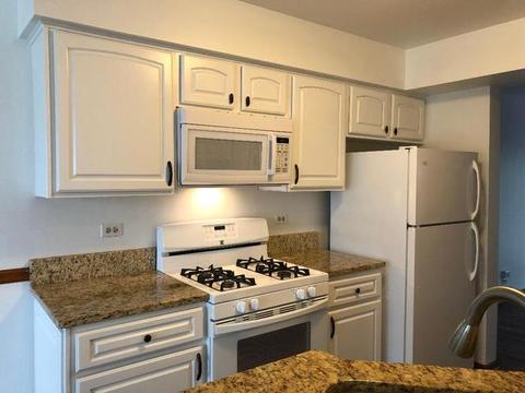 534 Orchards Pass, Bartlett, IL 60103 photo 3