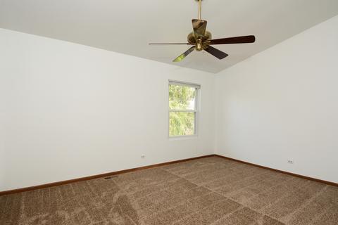 534 Orchards Pass, Bartlett, IL 60103 photo 13