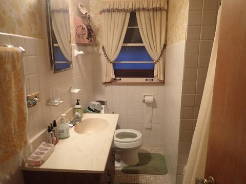 401 N Maple St, Mount Prospect, IL 60056 photo 10