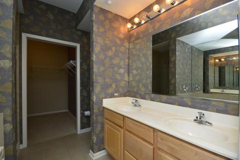 720 Prestwick Ln #408, Wheeling, IL 60090 photo 13